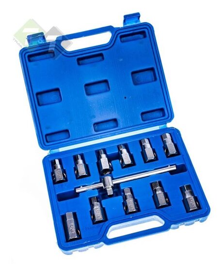 Carterplug doppen set - 12 delig - Olie plug dop - Carter plug sleutel - SATRA