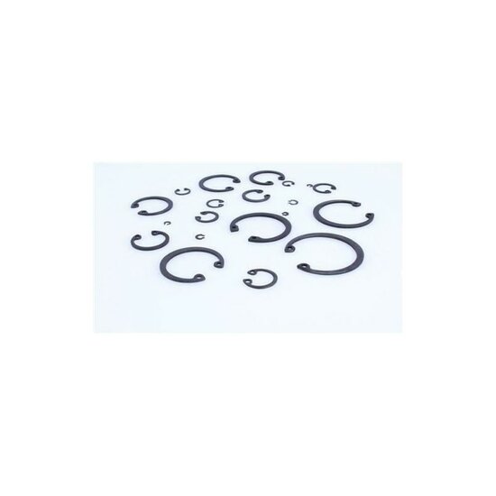 Borgring set - 300 dlg - Binnenwerks assortiment - Seegerring clips - ASTA