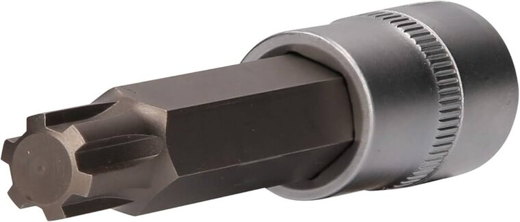 Ribe bit dop m6 55mm - ribe socket bit short - ribe socket - ribe screw