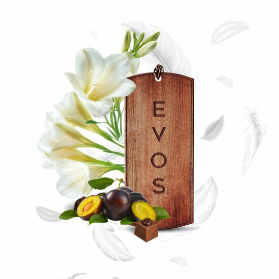 luchtverfrisser grace angel - geurhanger - autogeur - autoparfum - aroma spray - k2 evos