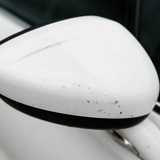 k2 nuta anti insect pro 1l - verwijdert effectief insectenresten - voorkomt verkleuring en putcorrosie