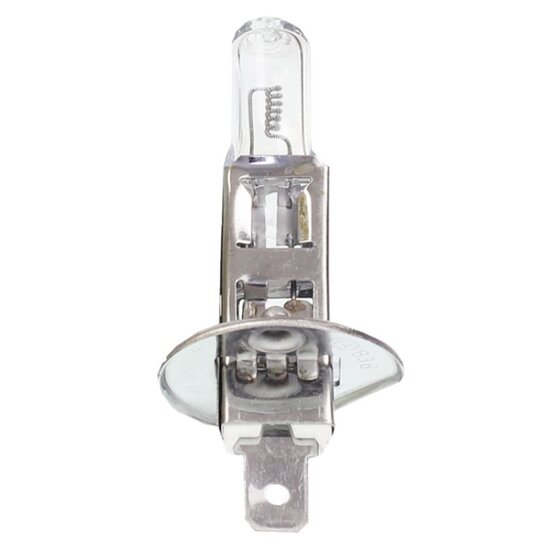 h1 gloeilamp halogeen - 12v 55w - e4 keurmerk - gloeilamp - koplamp