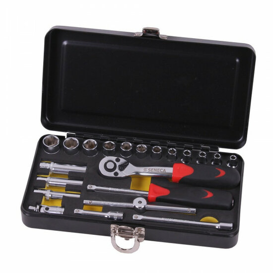 doppendoos - 1/4 duims aansluiting - 21 delig - doppenset - doppensleutelset - socketset - ratelset