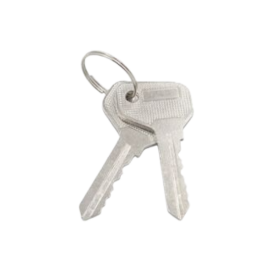 massaschakelaar - hoofdstroom schakelaar - 12/24 volt - 200 amp&eacute;re - noodschakelaar - stroomschakelaar - inclusief 2 sleutels