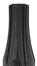 t15 bit 25mm s2 - schroefbit - boorbit - bitje - slagbit