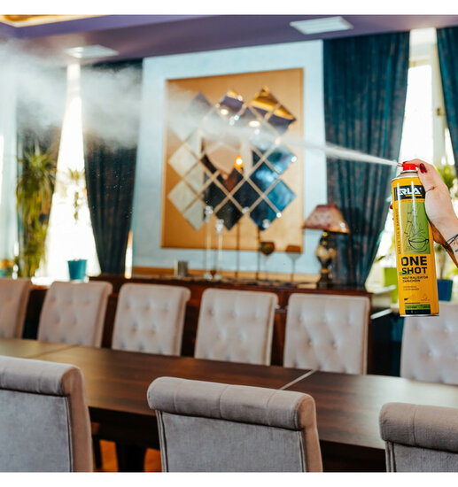 erla one shot green tea en bamboo 600 ml - geurneutralisator - luchtverfrisser - geurverfrisser - geurspuit