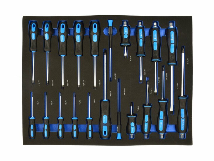 schroevendraaiers in foam inlay - schroevendraaier set 21 delig - platkop, torx en kruiskop schroevendraaierset - geko