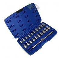 Carterplug doppen set - 21 delig - Olie plug dop - Carter plug sleutel - ASTA