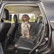Honden autogordel verstelbaar - 1 stuk - Benson
