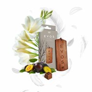 luchtverfrisser grace angel - geurhanger - autogeur - autoparfum - aroma spray - k2 evos