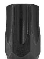 t40 bit 25mm s2 - schroefbit - boorbit - bitje - slagbit