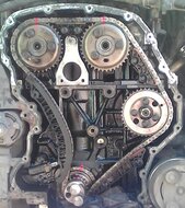 Ford - jaguar 2.0 - 2.2 - 2.4 td - tddi -&nbsp;tdci&nbsp;injectiepomp gereedschap - distributiegereedschap&nbsp;- nokkena