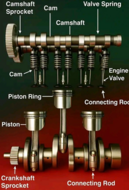 klepveertang - kleppentang - spanwijdte van 55 tot 175mm - kleppen tang - asta