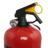 2kg poederblusser - brandblusser - poederbrandblusser - droogblusser - ogniochron