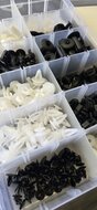 mitsubishi autoclips assortiment 370 delig - deurpaneel clips - interieurclips - bekledingclips&nbsp;- dashbordklemmen