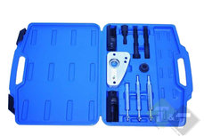 Citroen Peugeot HDI Diesel verstuiver demontage set PSA 2.0 L HDI en HDI DW10 Citroen Peugeot HDI Diesel verstuiver demontage set PSA 2.0 L HDI en HDI DW10